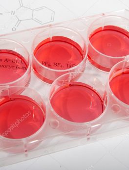 Cell Culture & Analysis