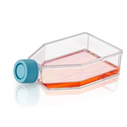 Cell Culture Flasks 25cm2 Vent Cap 200/cs